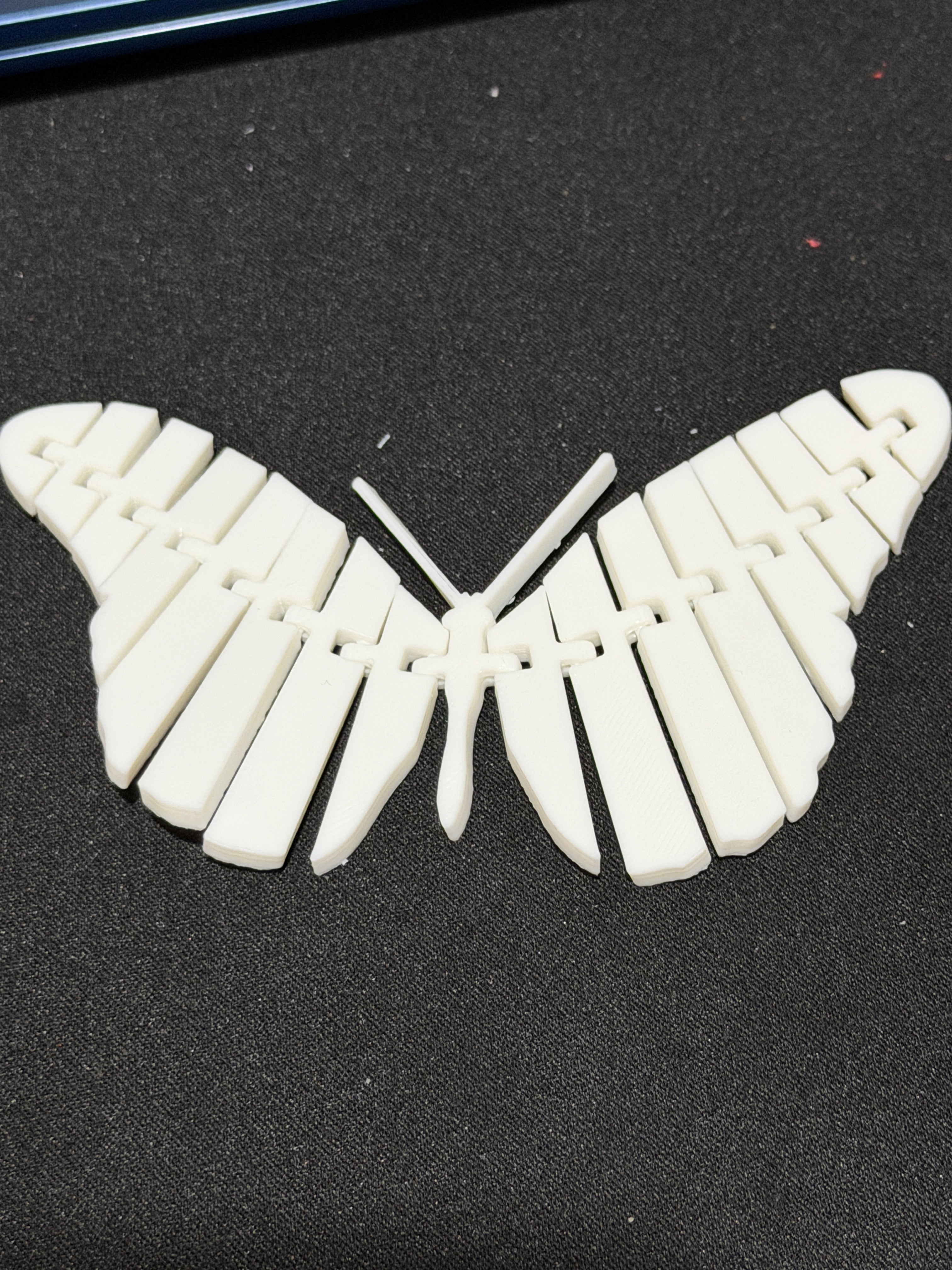 Flexi butterfly